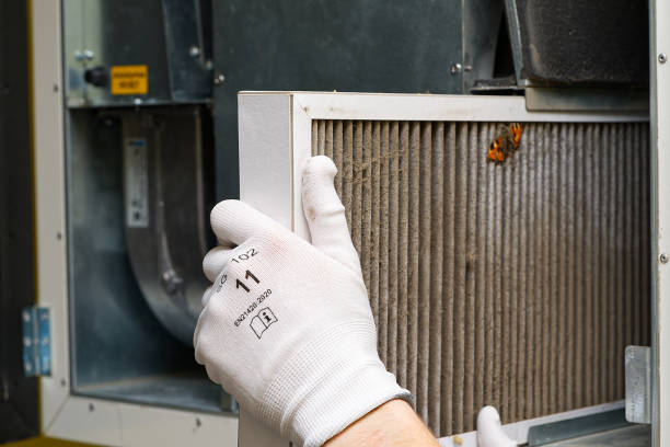 Best Commercial Air Duct Cleaning  in Winfield, IL
