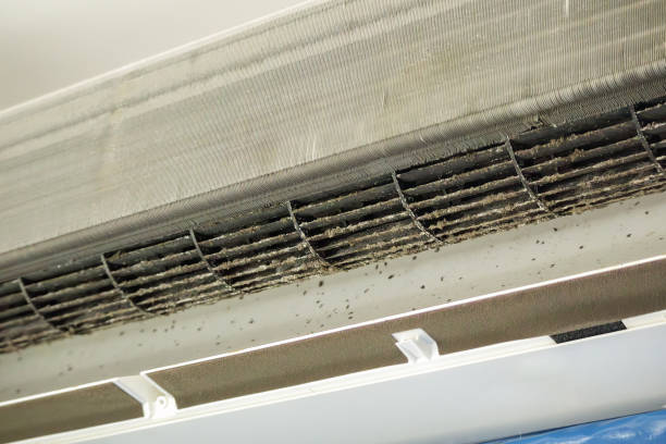 Best Air Duct Cleaning Near Me  in Winfield, IL