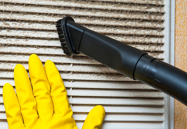 Best Affordable Air Duct Cleaning  in Winfield, IL